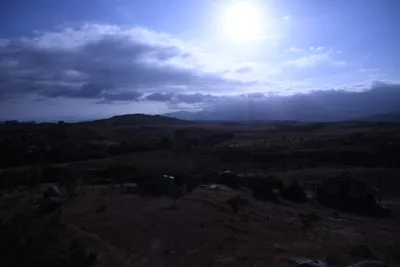 DSC_1209 (Large).JPG